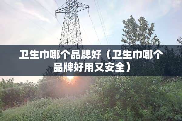 卫生巾哪个品牌好（卫生巾哪个品牌好用又安全）