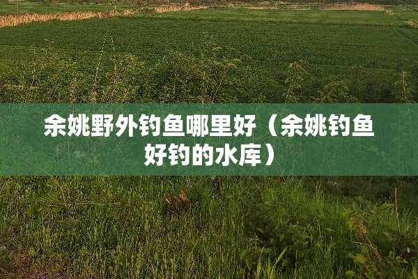 余姚野外钓鱼哪里好（余姚钓鱼好钓的水库）
