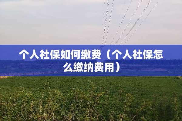 个人社保如何缴费（个人社保怎么缴纳费用）