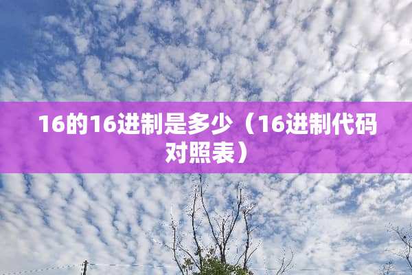 16的16进制是多少（16进制代码对照表）