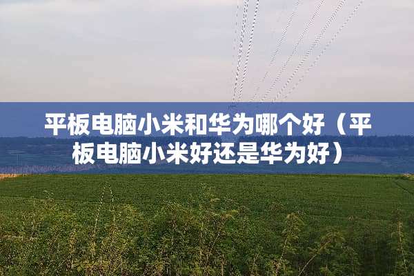 平板电脑小米和华为哪个好（平板电脑小米好还是华为好）