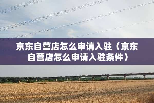 京东自营店怎么申请入驻（京东自营店怎么申请入驻条件）