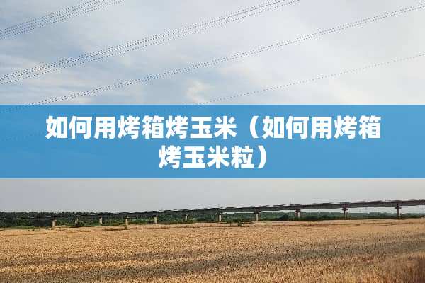 如何用烤箱烤玉米（如何用烤箱烤玉米粒）