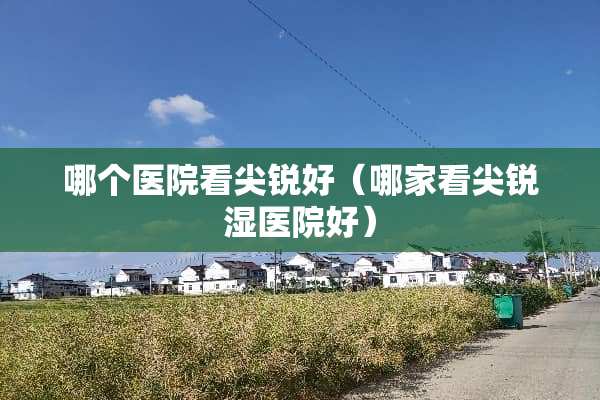 哪个医院看尖锐好（哪家看尖锐湿医院好）