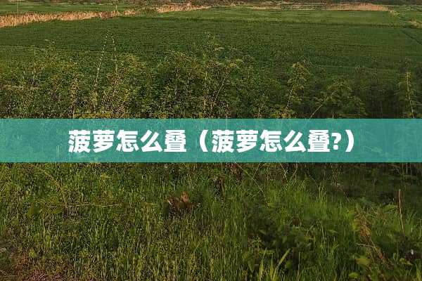 菠萝怎么叠（菠萝怎么叠?）