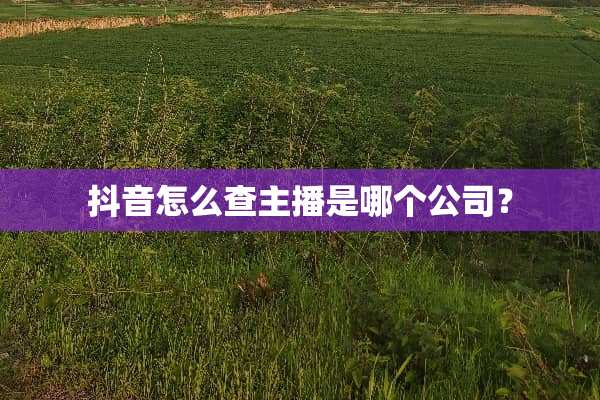 抖音怎么查主播是哪个公司？