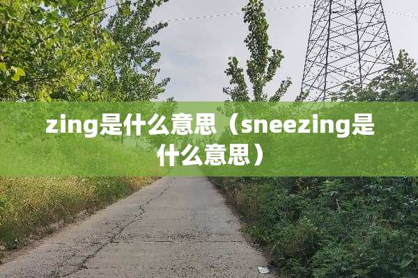 zing是什么意思（sneezing是什么意思）