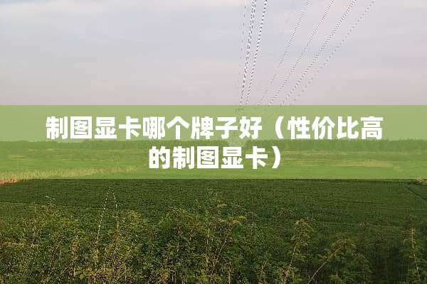 制图显卡哪个牌子好（性价比高的制图显卡）