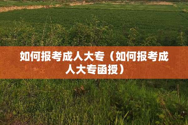 如何报考**大专（如何报考**大专函授）