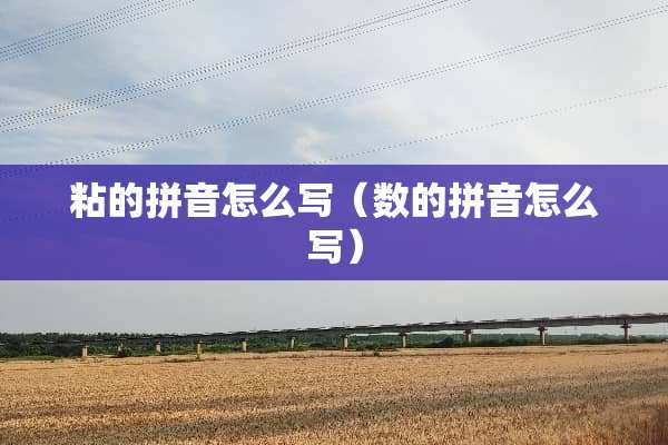 粘的拼音怎么写（数的拼音怎么写）