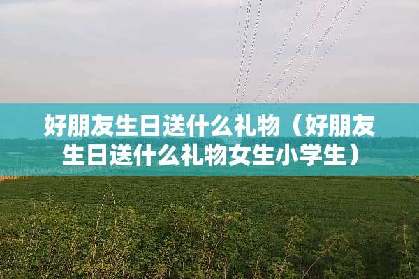 好朋友生日送什么礼物（好朋友生日送什么礼物女生小学生）