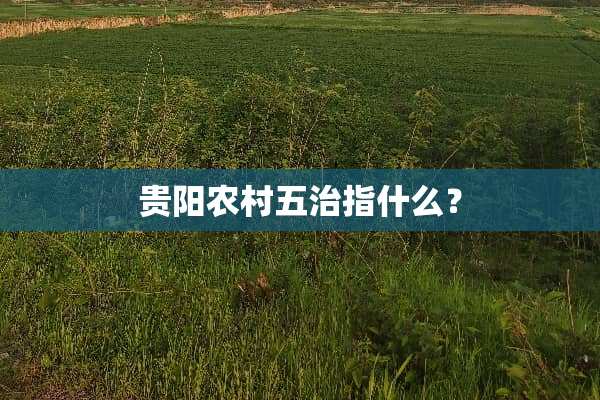 贵阳农村五治指什么？