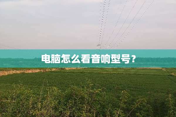 电脑怎么看音响型号？