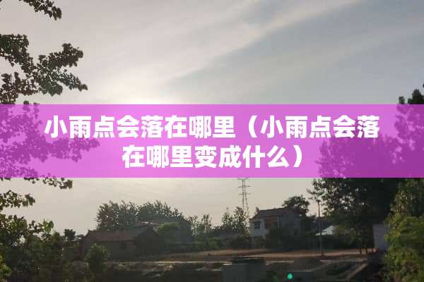 小雨点会落在哪里（小雨点会落在哪里变成什么）
