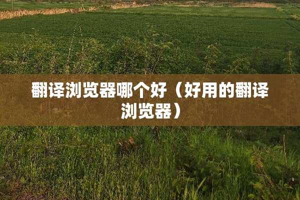 翻译浏览器哪个好（好用的翻译浏览器）