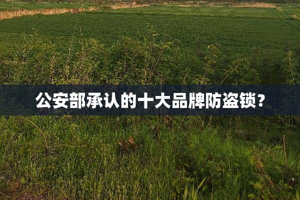 **部承认的十大品牌防盗锁？