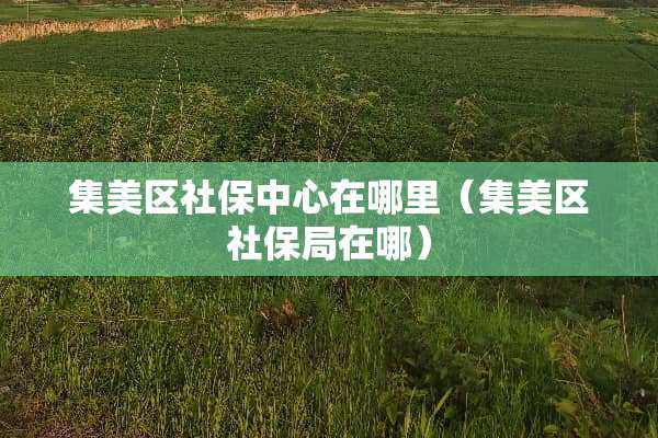 集美区社保中心在哪里（集美区社保局在哪）
