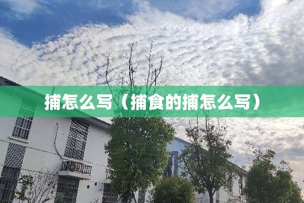 捕怎么写（捕食的捕怎么写）