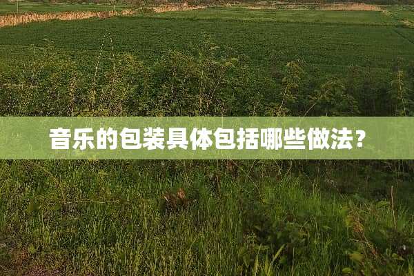 音乐的包装具体包括哪些做法？