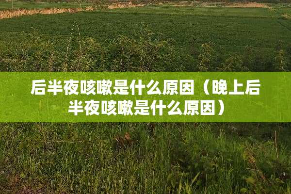 后半夜咳嗽是什么原因（晚上后半夜咳嗽是什么原因）