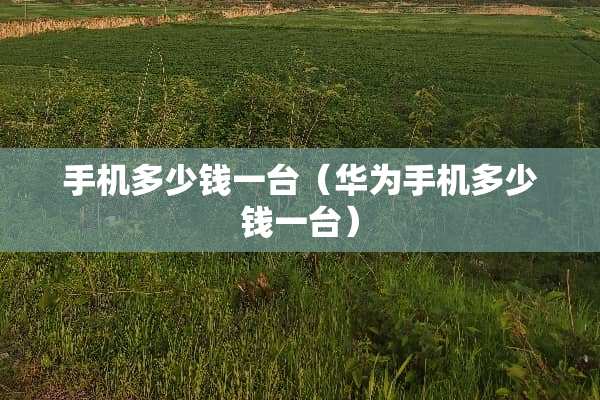 手机多少钱一台（华为手机多少钱一台）