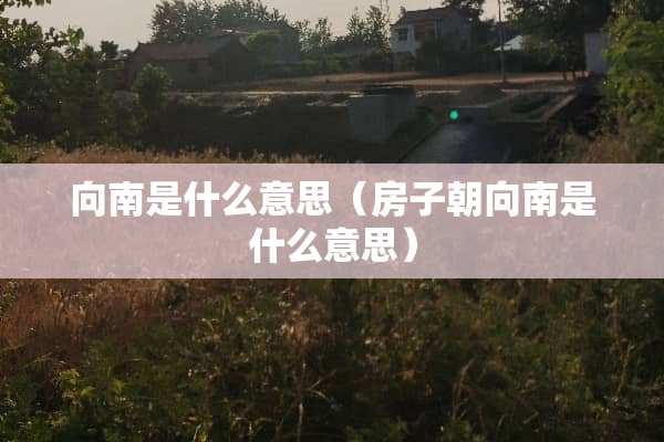 向南是什么意思（房子朝向南是什么意思）