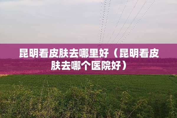 昆明看皮肤去哪里好（昆明看皮肤去哪个医院好）