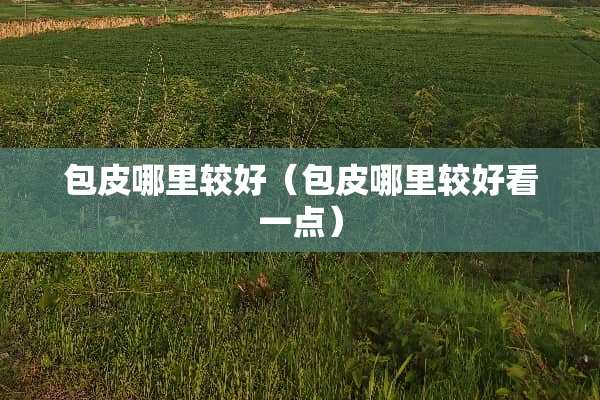包皮哪里较好（包皮哪里较好看一点）