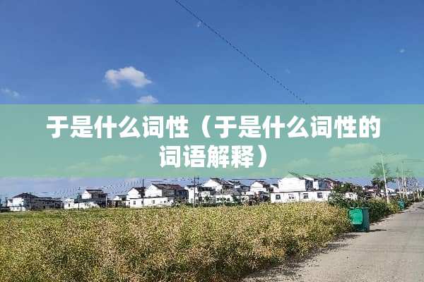 于是什么词性（于是什么词性的词语解释）