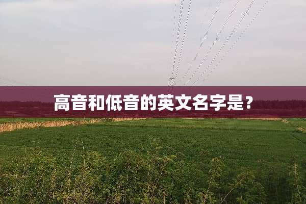 高音和低音的英文名字是？