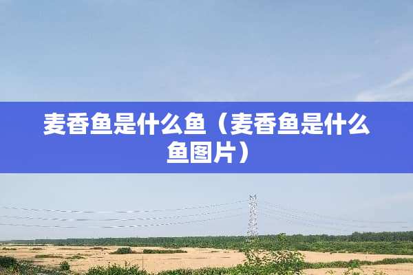 麦香鱼是什么鱼（麦香鱼是什么鱼图片）