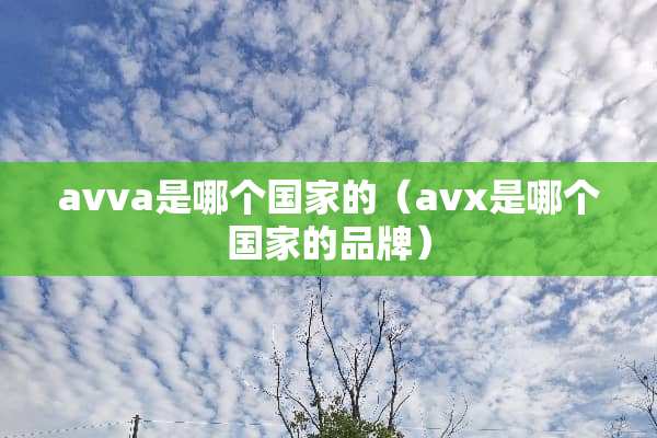 avva是哪个国家的（avx是哪个国家的品牌）
