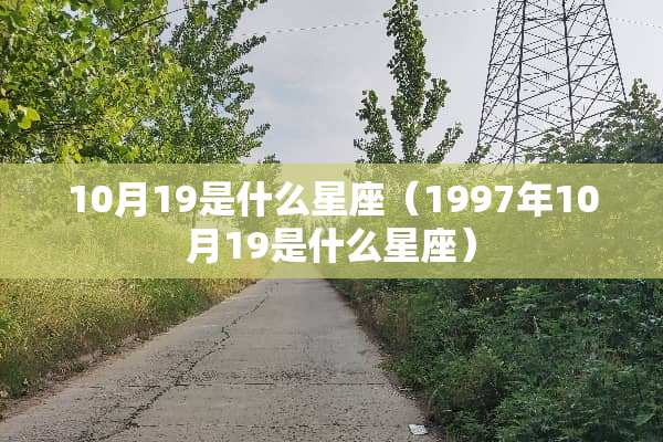 10月19是什么星座（1997年10月19是什么星座）