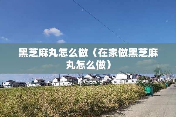 黑芝麻丸怎么做（在家做黑芝麻丸怎么做）