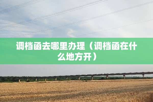 调档函去哪里办理（调档函在什么地方开）