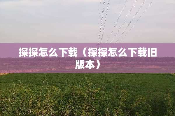 探探怎么下载（探探怎么下载旧版本）