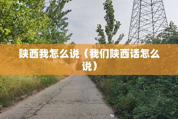 陕西我怎么说（我们陕西话怎么说）