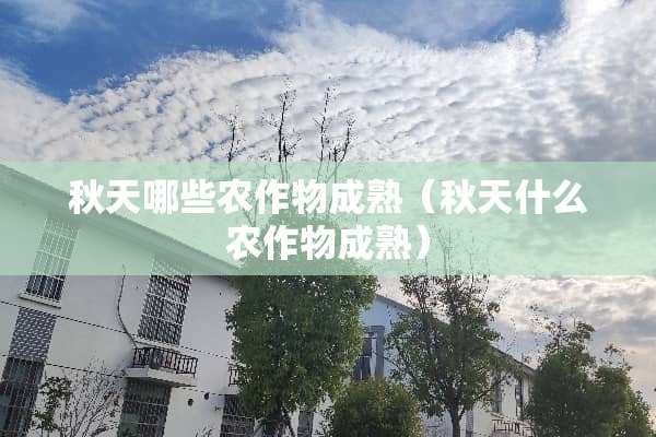秋天哪些农作物成熟（秋天什么农作物成熟）