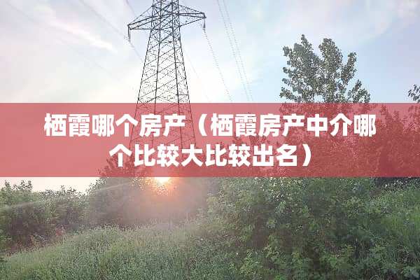 栖霞哪个房产（栖霞房产中介哪个比较**较出名）