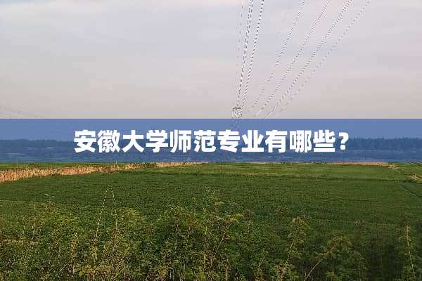 安徽大学师范专业有哪些？