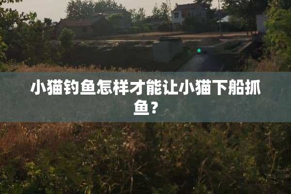 小猫钓鱼怎样才能让小猫下船抓鱼？