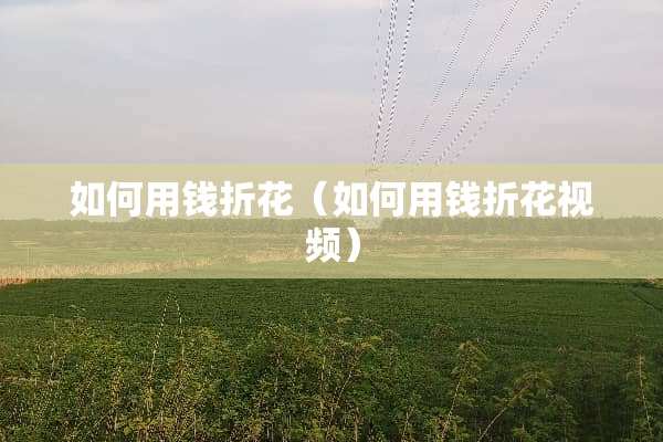 如何用钱折花（如何用钱折花视频）
