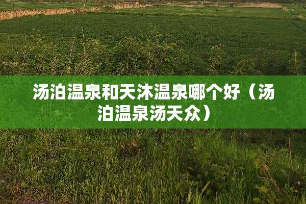 汤泊温泉和天沐温泉哪个好（汤泊温泉汤天众）