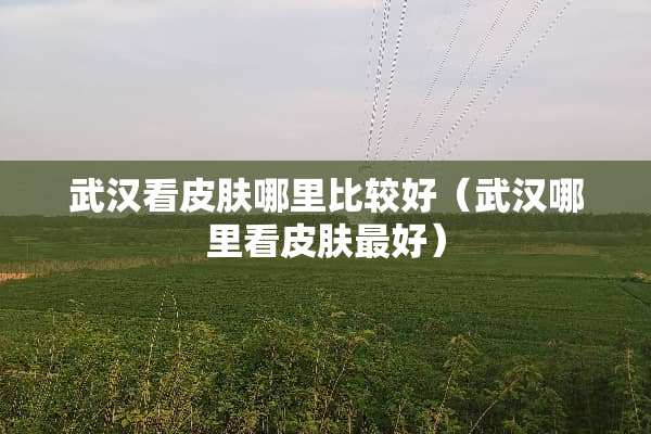 武汉看皮肤哪里比较好（武汉哪里看皮肤最好）