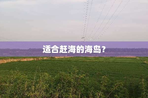 适合赶海的海岛？