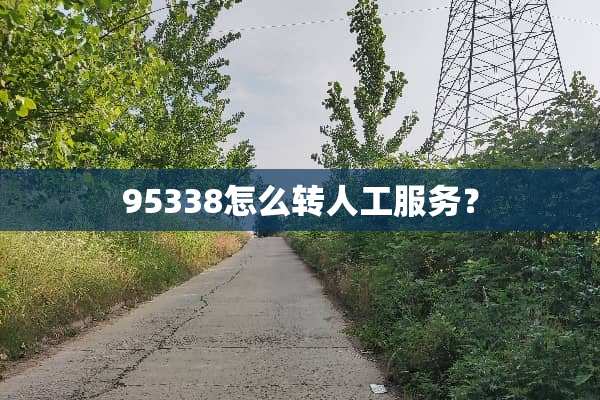 95338怎么转人工服务？