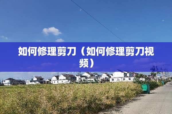 如何修理剪刀（如何修理剪刀视频）