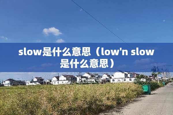 slow是什么意思（low'n slow是什么意思）