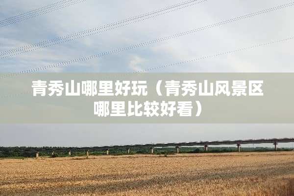 青秀山哪里好玩（青秀山风景区哪里比较好看）