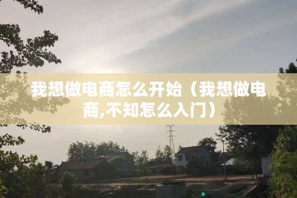 我想做电商怎么开始（我想做电商,不知怎么入门）